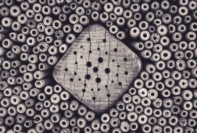 Triphobia(Tripofobi) Nedir?Belirtileri Nelerdir?